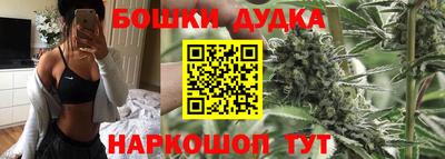 гашик Шахты