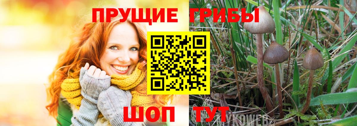 Барнаул  как найти наркотики  Вход с VPN  Псилоцибиновые грибы Cubensis  Галлюциногенные грибы ЛСД 